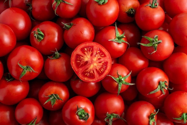 tomatoes