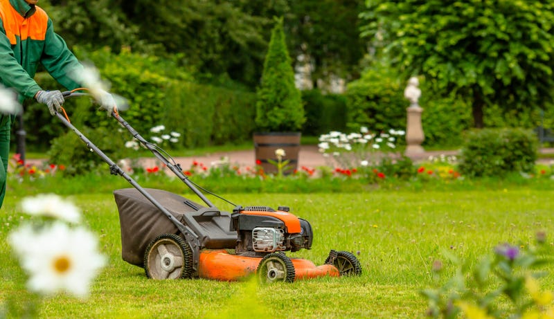 lawn