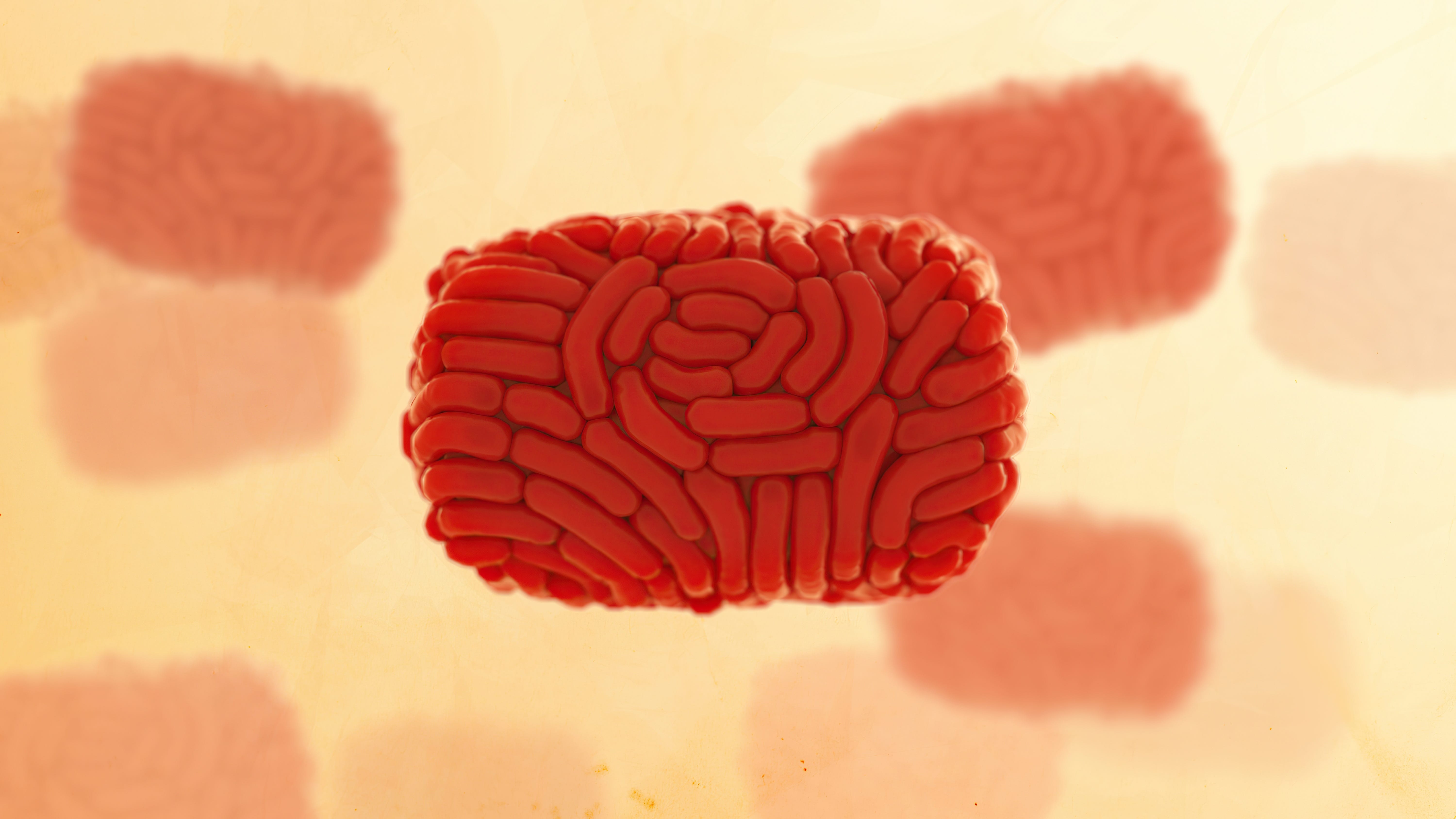 First monkeypox-related death reported in New Jersey