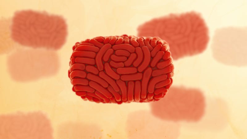 A medical illustration of several monkeypox virions or virus particles.