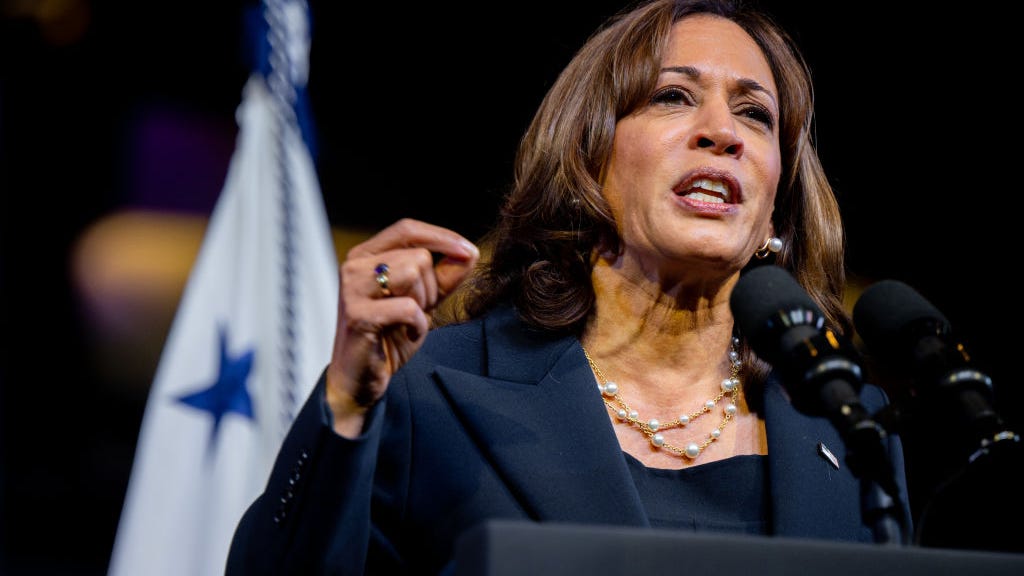 Kamala Harris accuses DeSantis, Abbott of 'playing games' with migrant lives