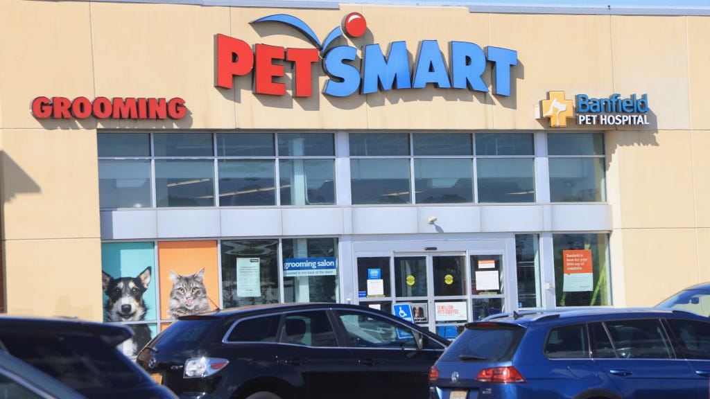 PetSmart looking to hire its first-ever 'Chief Toy Testers'