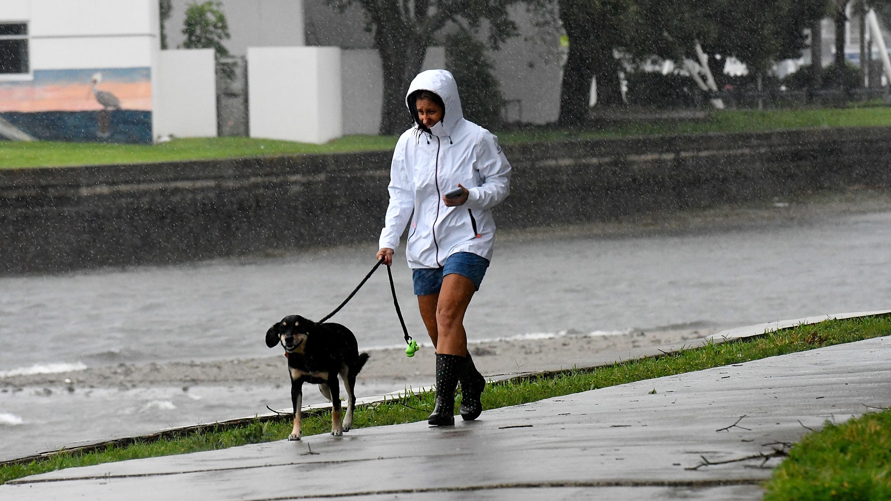 Why so many people stay when a hurricane is coming