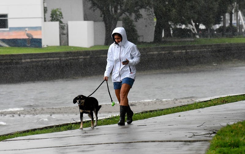 A local resident walks her dog in the rain and wind at the bay of Saint Petersburg as Hurricane Ian approaches on September 28, 2022 in St. Petersburg, Florida. Ian is hitting the area as a Category 4 hurricane. (Photo by Gerardo Mora/Getty Images)