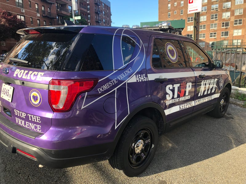 Stop Domestic Violence Police vehicle, Queens, New York.