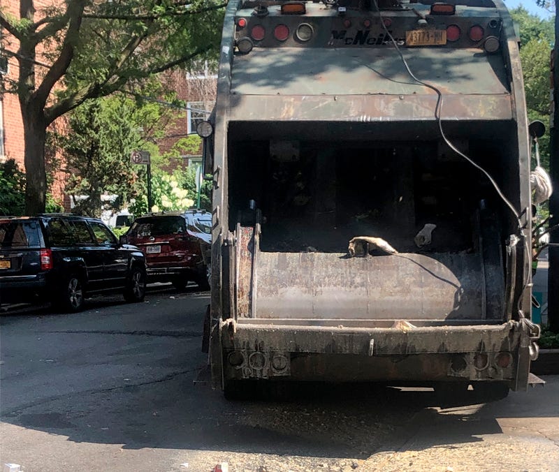 Businesses in three Queens neighborhoods have until Jan. 6 to choose one of three private carters or the Sanitation Department will choose for them