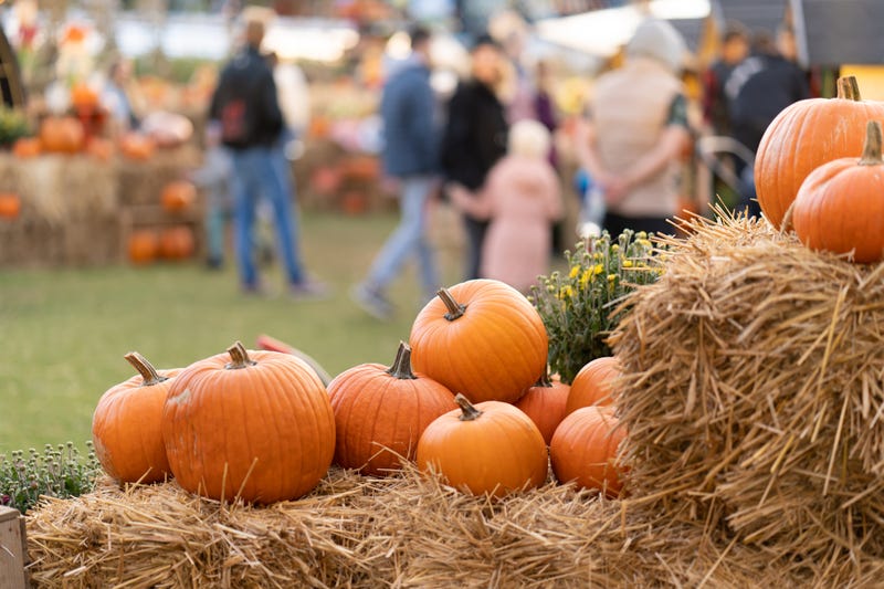 Your guide to 2023 Fall Events in and around Philadelphia