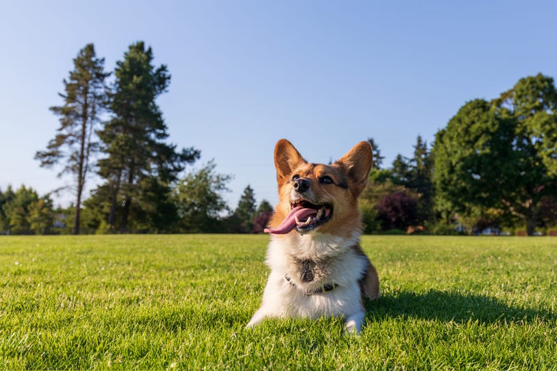 Sunny & hot this weekend