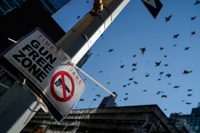 New York gun laws