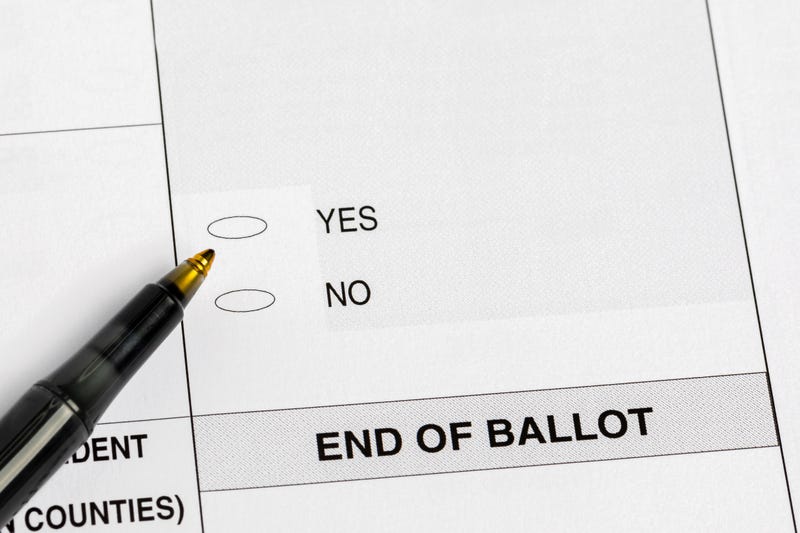 vote