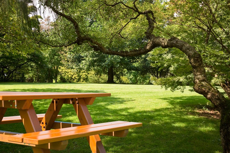 File Photo: Public park
