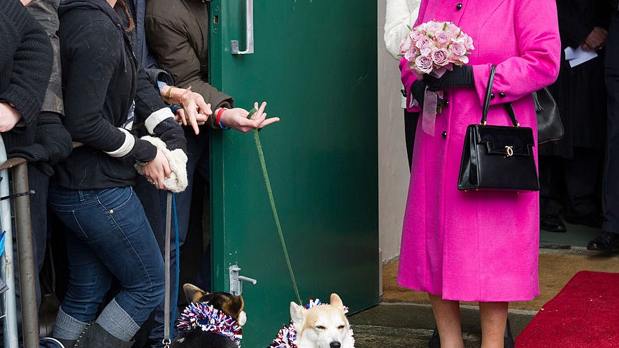 Here's what will happen to Queen Elizabeth's corgis after her death