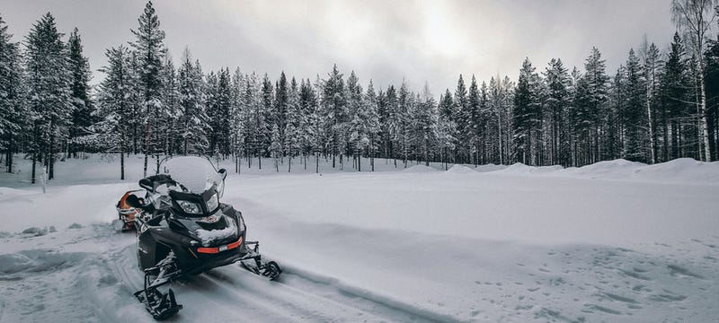 Snowmobile near pine trees