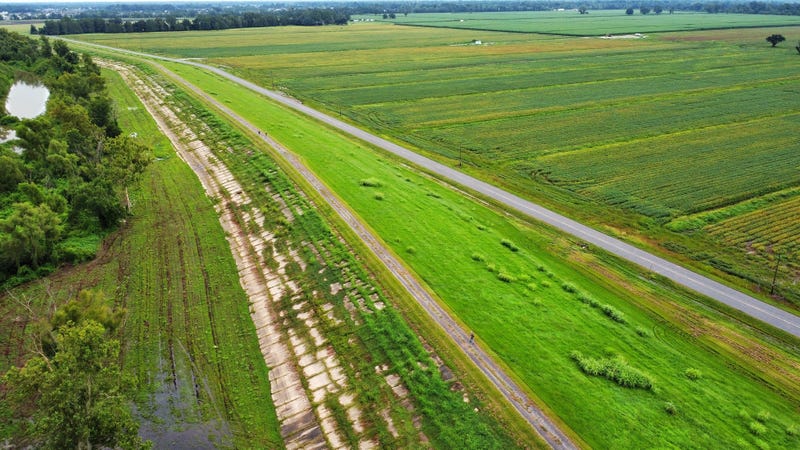 Farmland