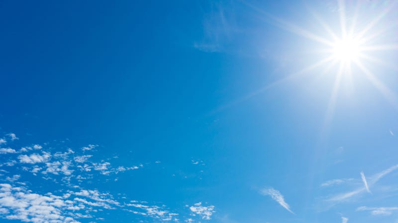 Sunny day