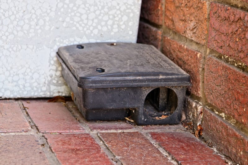 rodent trap on tiled floor