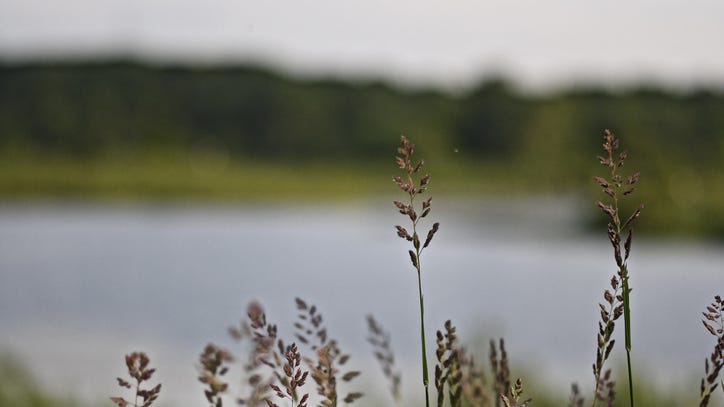 West Michigan community mourns after toddler wanders off, drowns in nearby pond