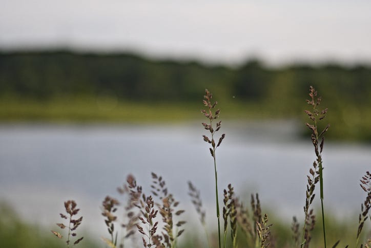 West Michigan community mourns after toddler wanders off, drowns in nearby pond