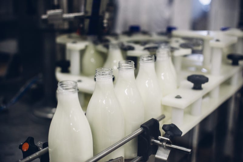 Milk being bottled