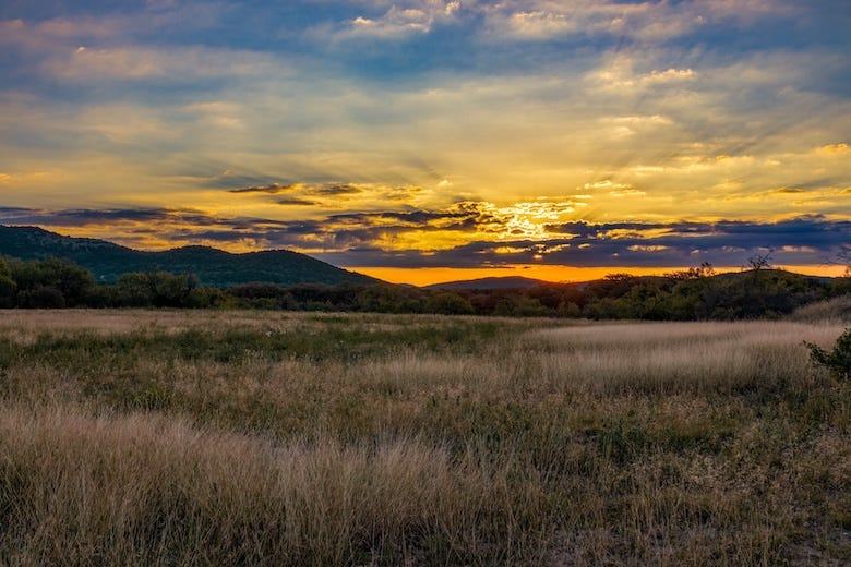 Sunrise coming over mountains behind a field of tall grass in the Texas Hill Country