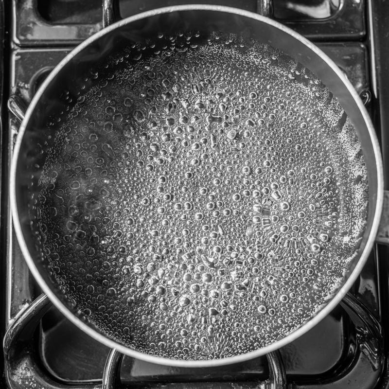 A pot of water boils on a stovetop