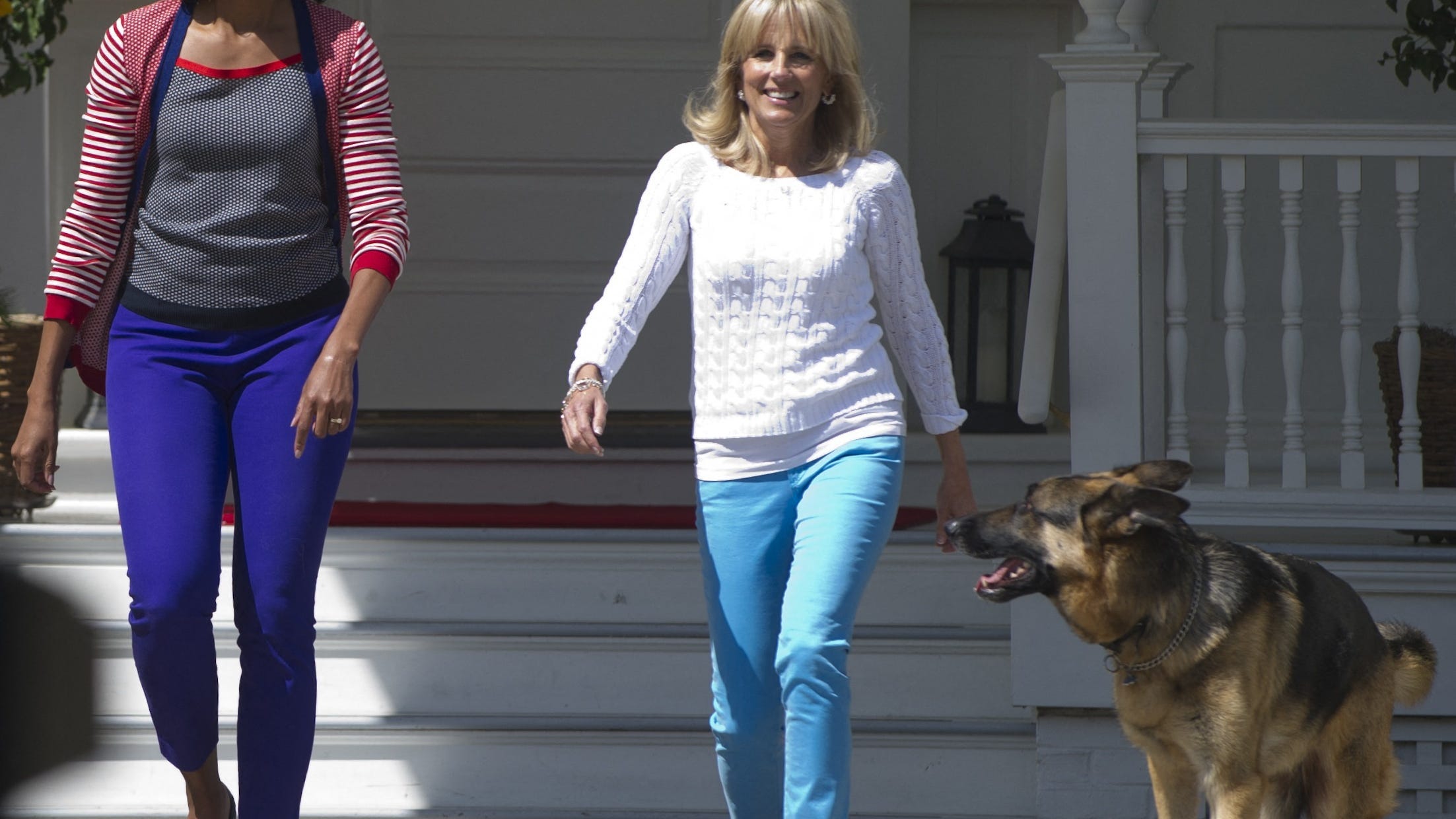 Biden family dog Champ dies at 13: 'He was our constant, cherished companion'