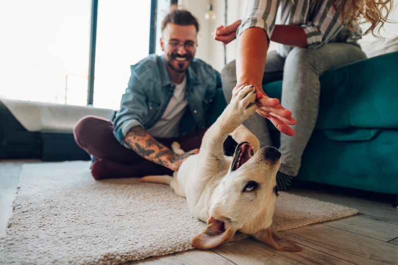 Happy pet family
