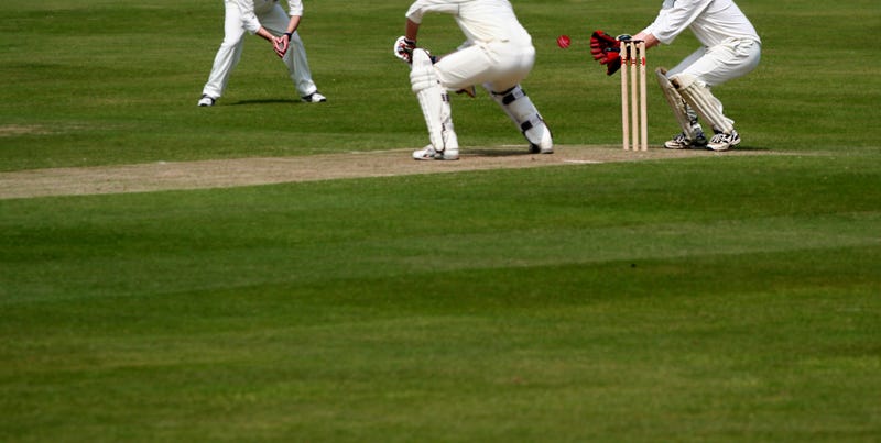 Cricket