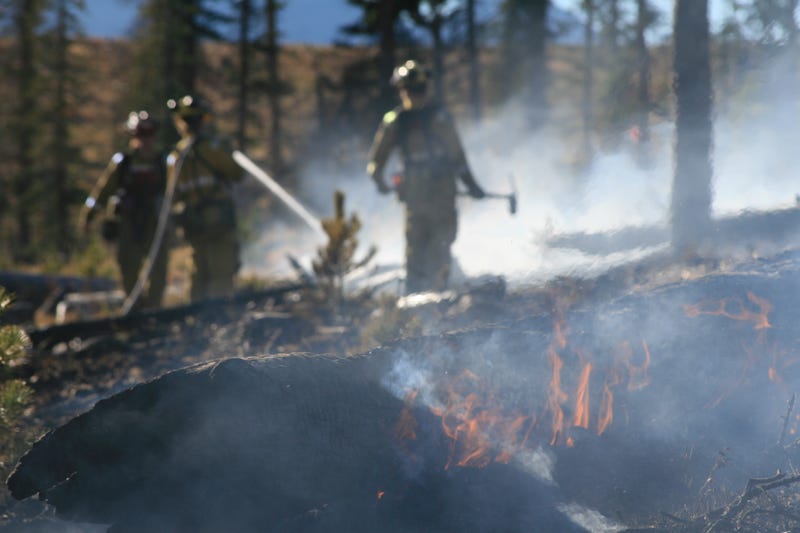 Wildfire