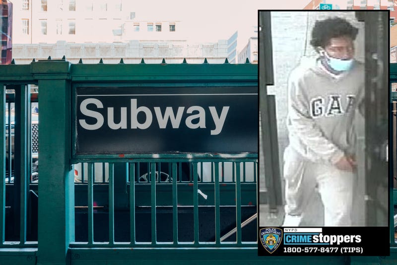 The suspect was last seen fleeing up to the street after the attack, police said