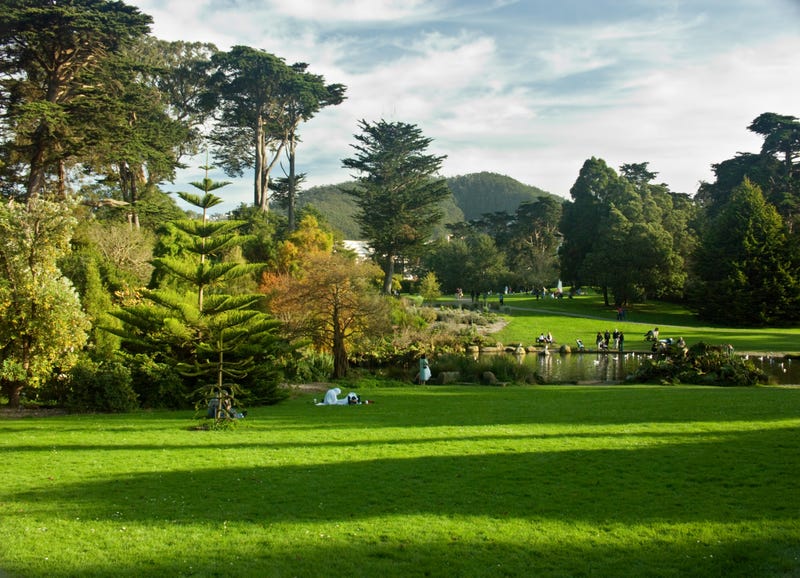Golden Gate Park has hosted the festival for more than two decades now.