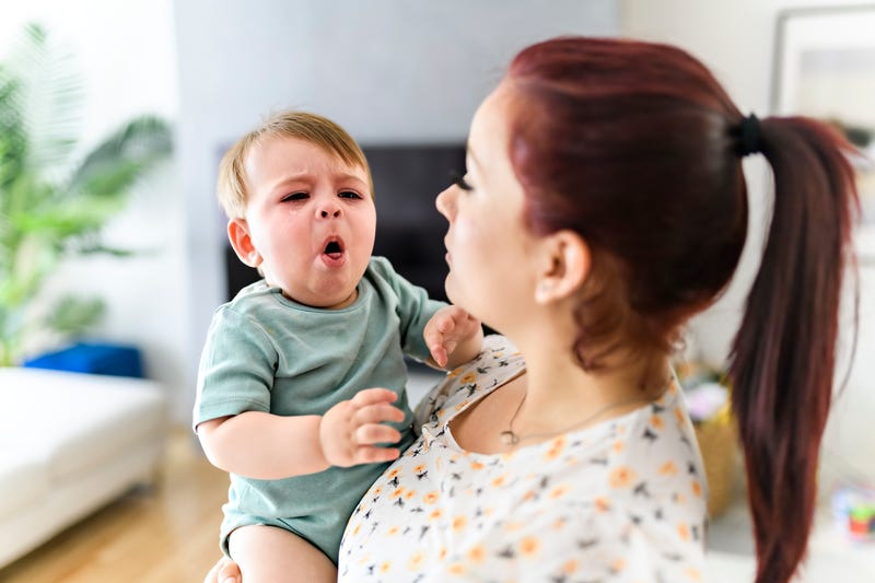 The number of whooping cough cases in the U.S. has more than tripled over the past year.