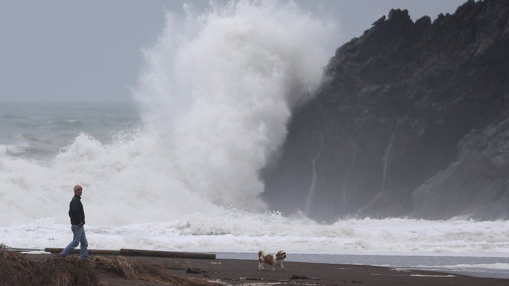 Iconic Sausalito sea lion statue swept off its perch during latest storms
