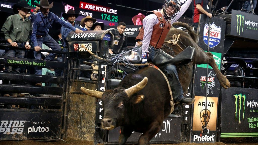 Things To Do Around DFW: PBR World Finals, Wildflower Festival, Dallas Wings, Impractical Jokers and more