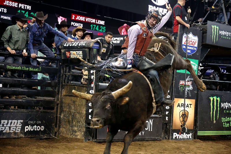 Bull Riding