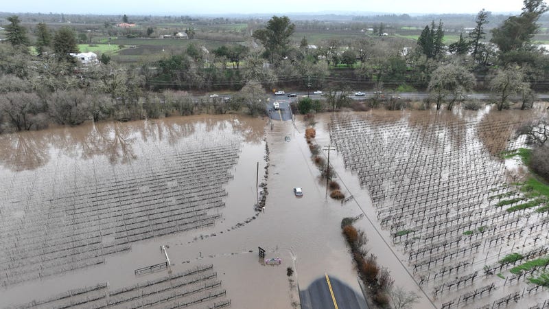 A vineyard is submerged in floodwater after heavy rain moved through the area on January 9 in Windsor, California. The storms have toppled trees, flooded roads and cut power to tens of thousands of residents.