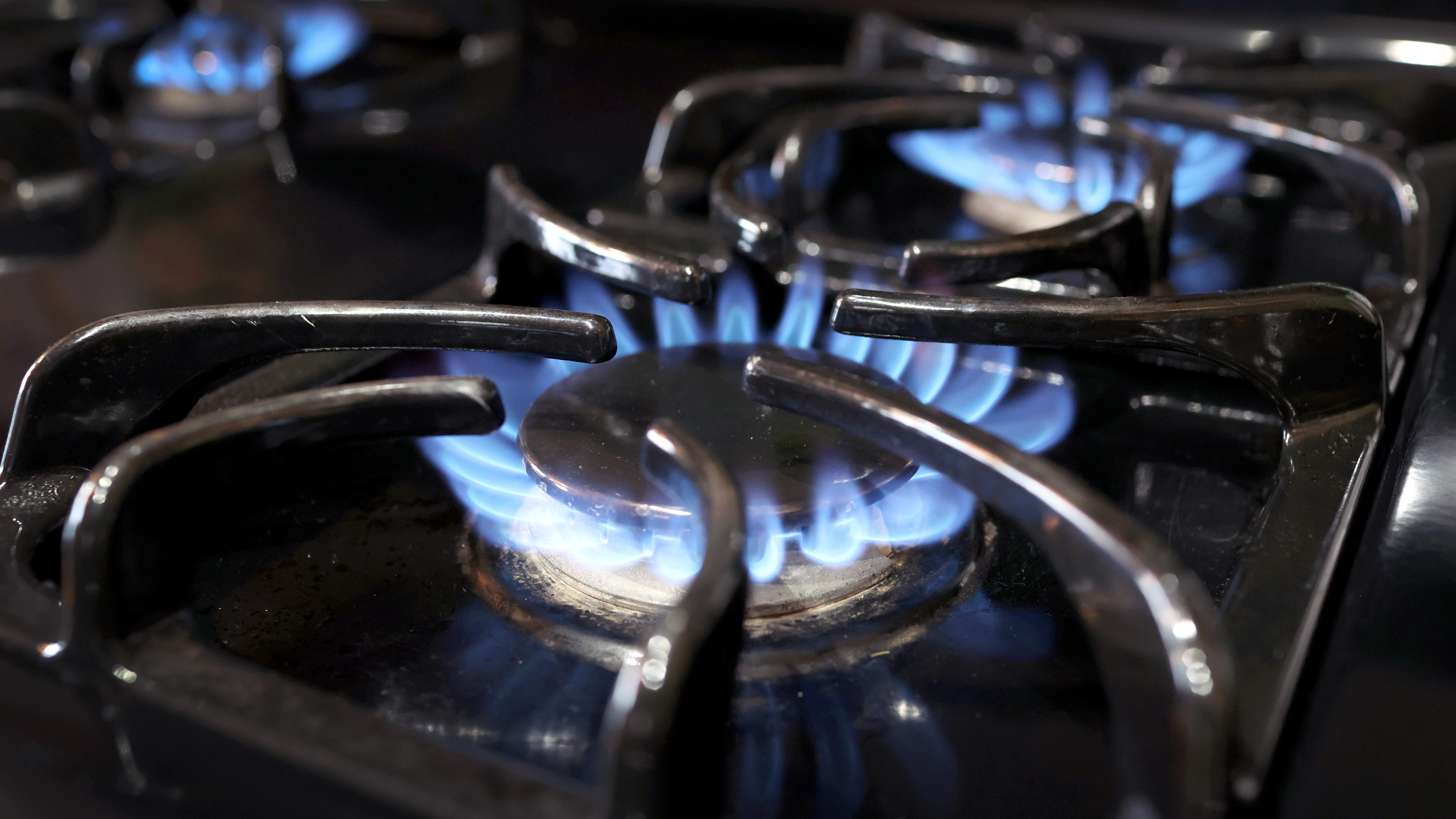 New York State Democrats respond to public concern: Transition from gas to electric
