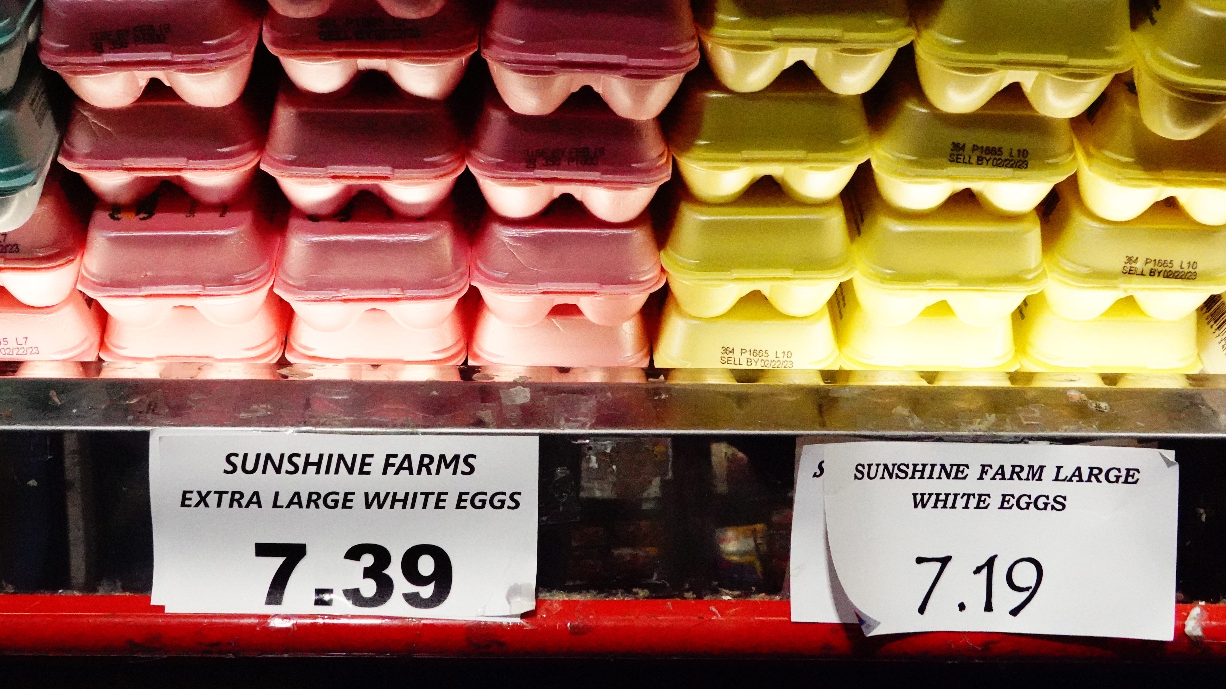 How are local farms faring amid the country's worst ever outbreak of bird flu?