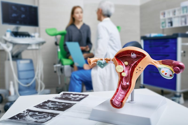Check-up of woman by doctor gynecologist for prevention and treatment of female gynecological diseases. Gynecology, women's health concept