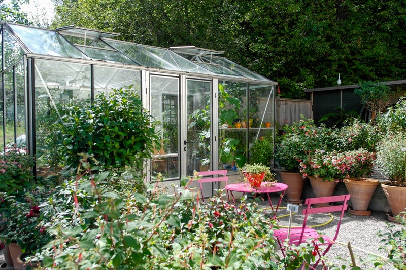 Plants