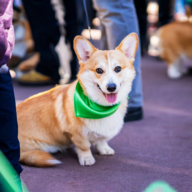 Hopefully it won't rain on weekend celebrations