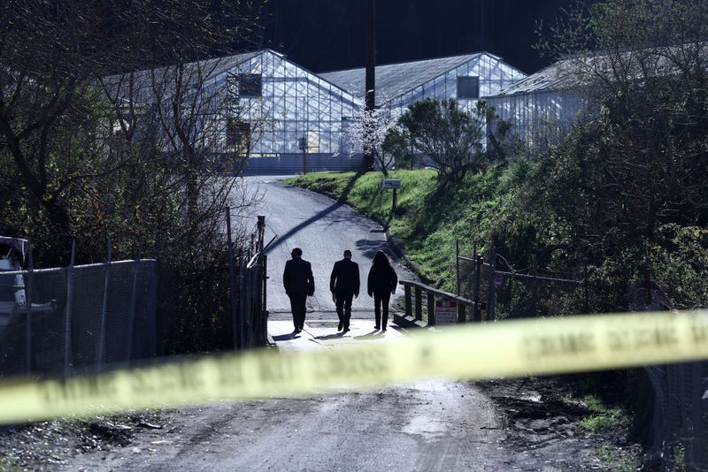 FBI agents arrive at a farm where a mass shooting occurred on January 24, 2023 in Half Moon Bay, California.