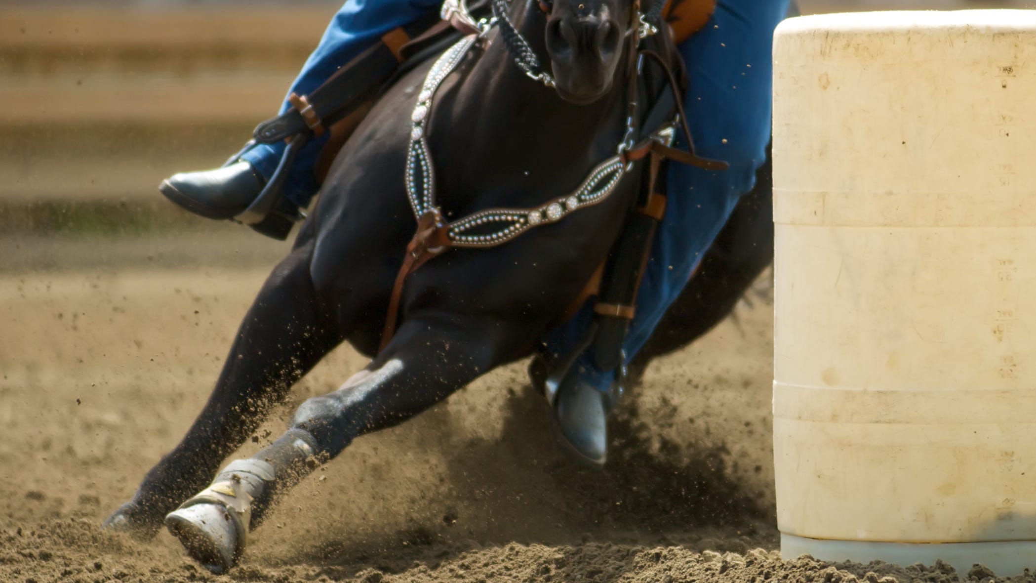 United Professional Rodeo Association Finale to be held at State Fair of Texas