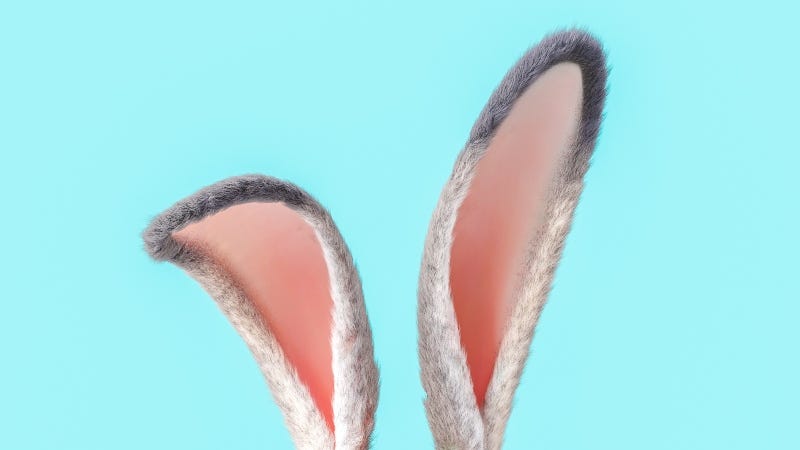 Cadbury Bunny 2024 WINNER Rockin' the Bunny Ears …