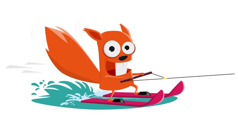 Skiing squirrel 