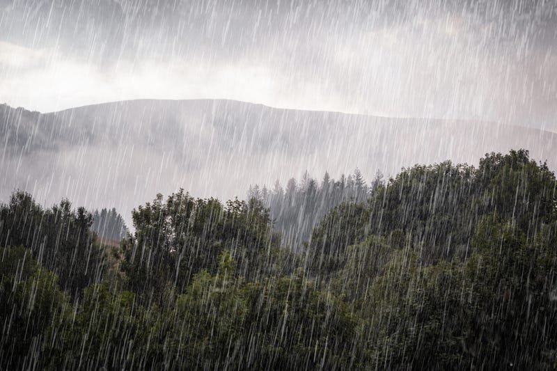 Rain