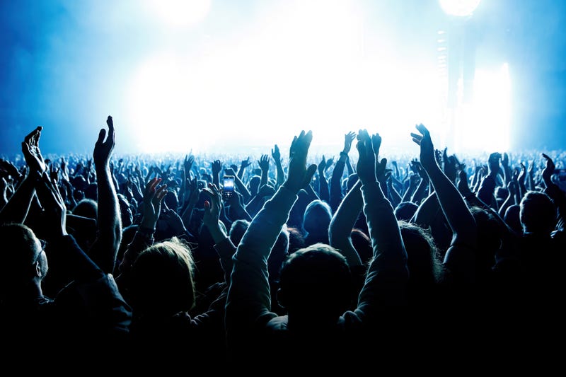 Fans attend a concert