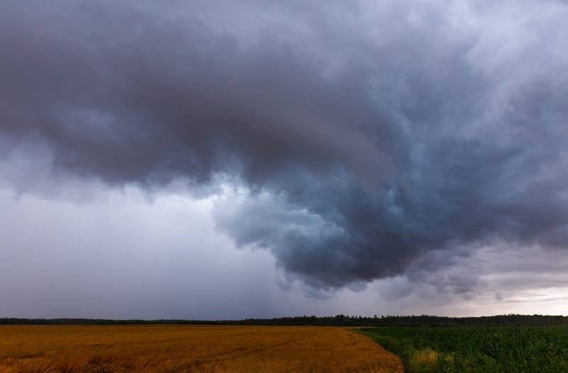 The City of Perry was struck by a tornado during a nighttime outbreak of severe weather that stretched from the Thumb region down to Metro Detroit on Friday, weather experts confirmed.