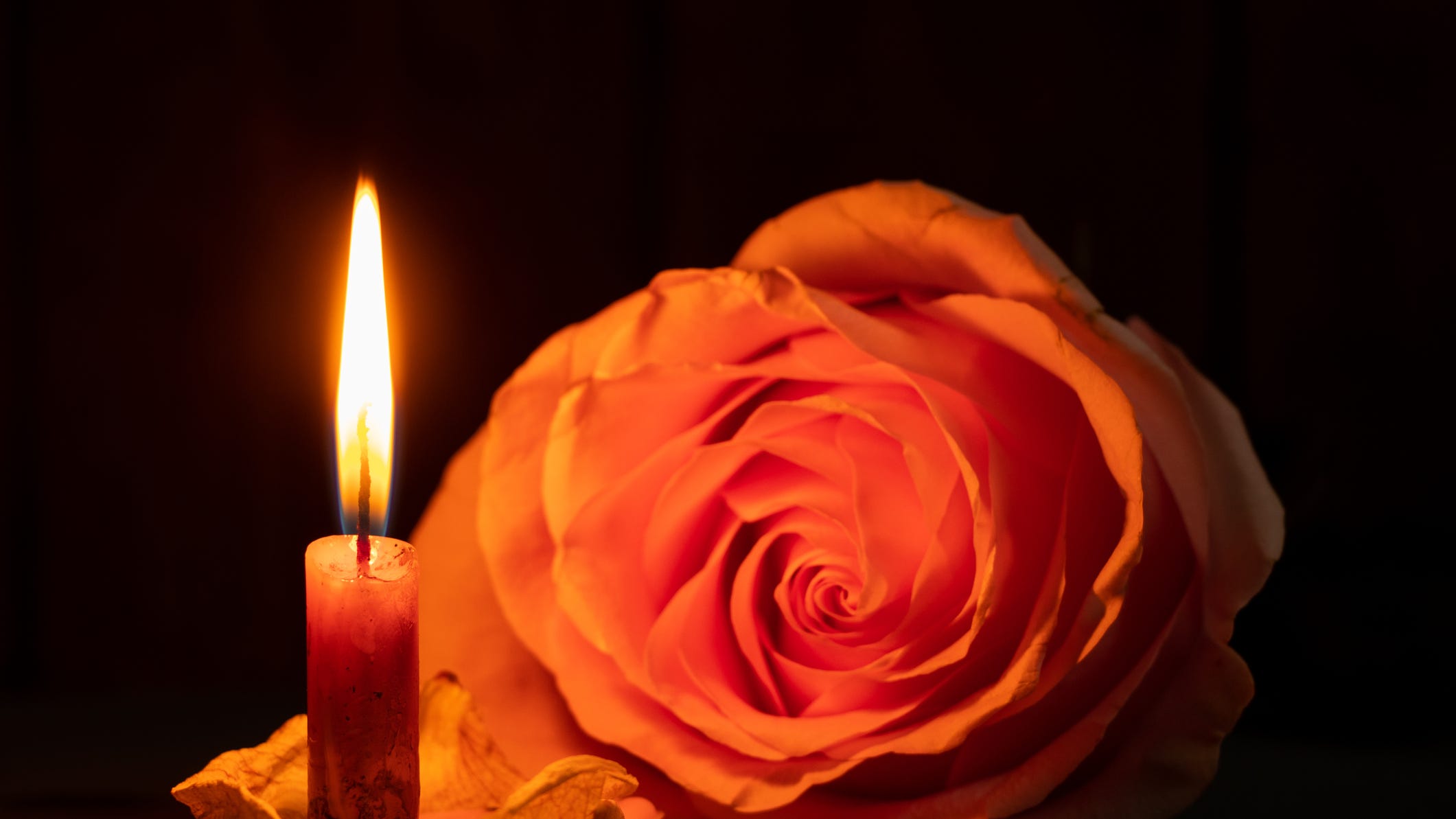Couple murdered on 50th wedding anniversary