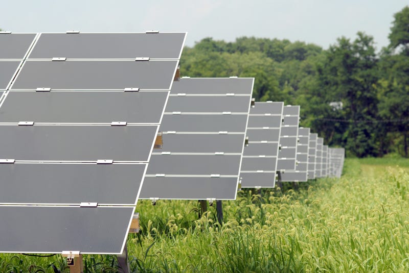 Solar panels in a field